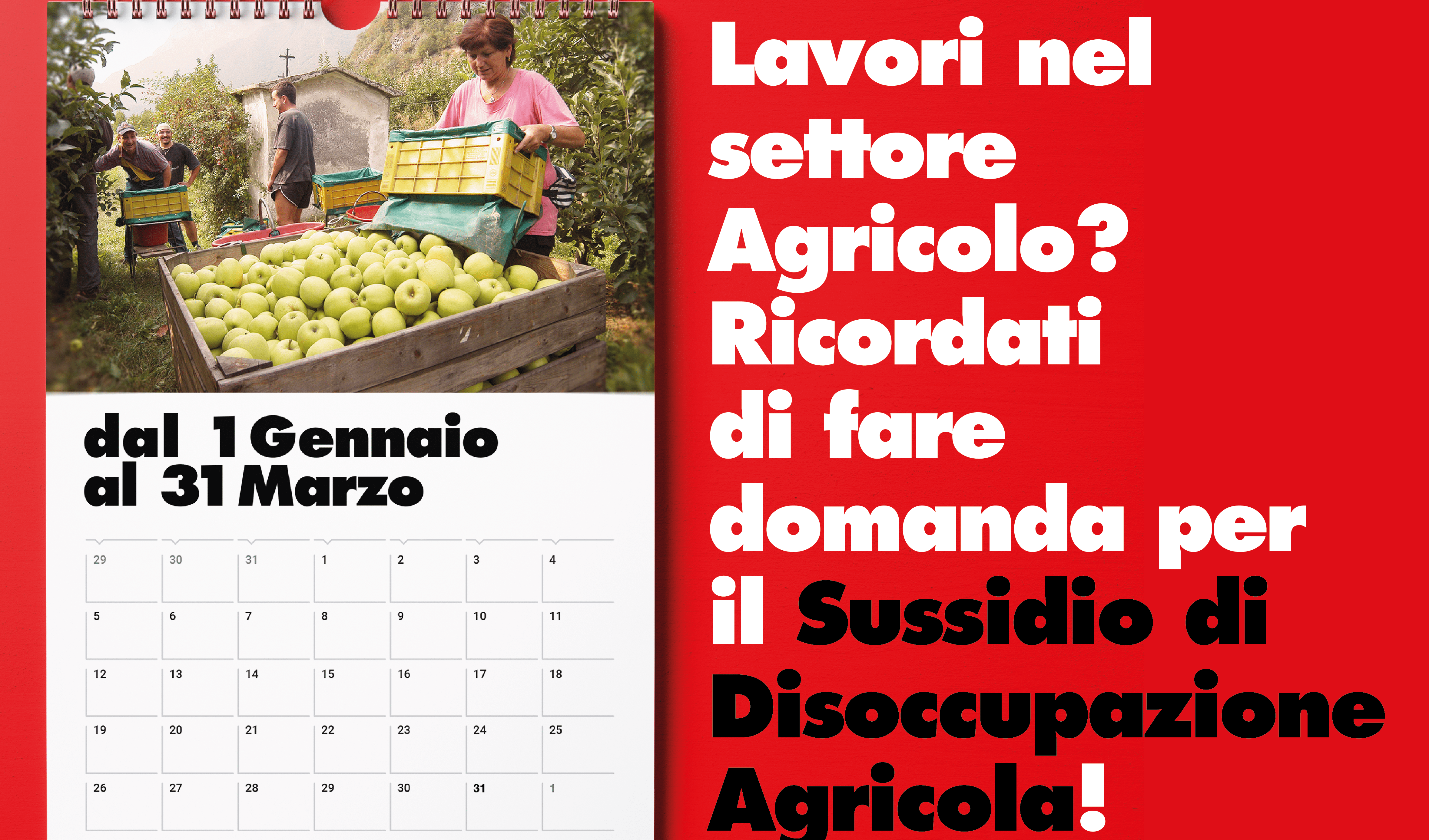 Disoccupazione agricola e assegni familiari, dal 1° gennaio il via alle domande