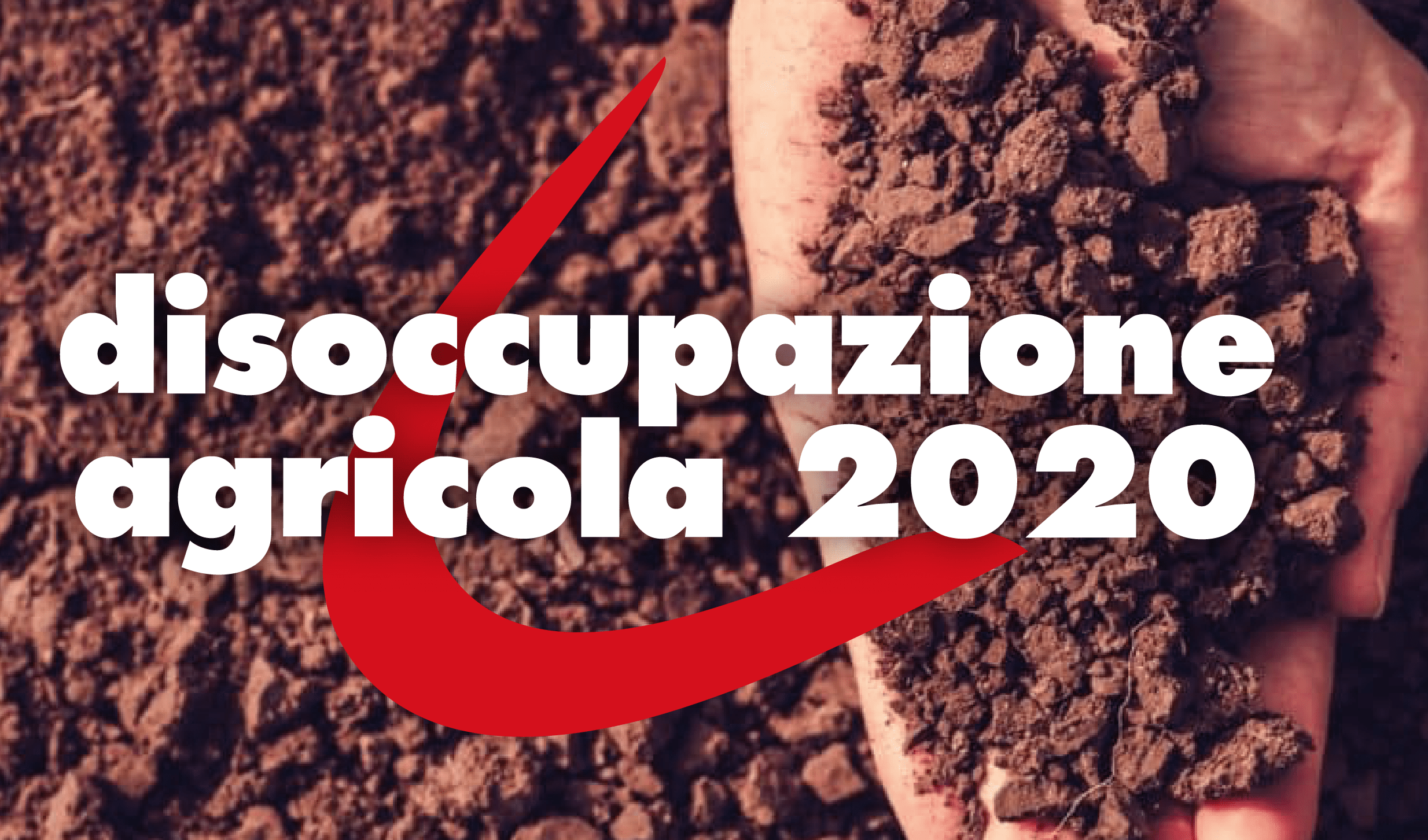 Disoccupazione agricola, al via la raccolte delle domande